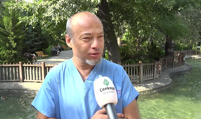 Yaralı yavru ördek, Kuğulu Park ailesine katıldı
