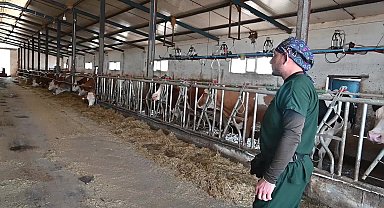 Yozgat’ta 155 bin 244 büyükbaş hayvan aşılandı