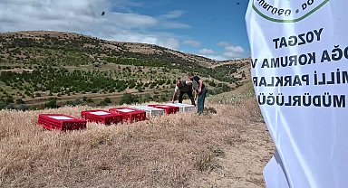 Yozgat’ta 18 yılda yetiştirilen 215 bin keklik doğaya salındı