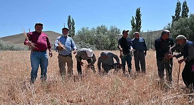 Yozgat’ta tarım alanları doludan zarar gören çiftçiler destek bekliyor