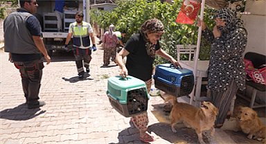 Yürekleri ısıtan haber Seferihisar’dan: İzmir’deki yangından kurtarılan tavuklarına kavuştu
