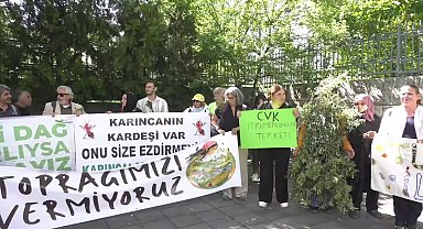 Zeytinliklerin madenciliğe açılmasına ilişkin kanun teklifi... Çevreciler Meclis'ten seslendi: