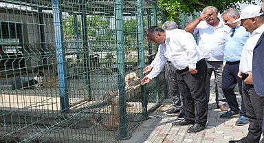Adana Büyükşehir Belediye Başkan Vekili Geçer'den Hayvan Bakımevi’nde inceleme