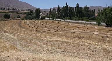 Antalya Büyükşehir Belediyesi’nden Halk Ekmek için yerli buğday hasadı