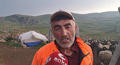 Artvin Ardanuç’ta küçükbaş hayvan yetiştiricisi