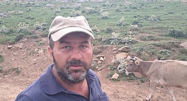 Artvin'de Şap alarmı: 