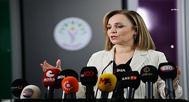 Ayşegül Doğan:
