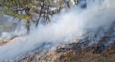 Bolu'nun Göynük ilçesi Tekirler köyü yakınlarında çıkan orman yangınına müdahale sürüyor