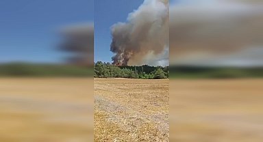 Bolu’nun Mudurnu ilçesinde yangın