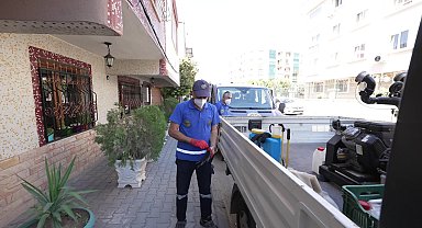 Buca’da haşere ve sineklere karşı 24 saat mücadele