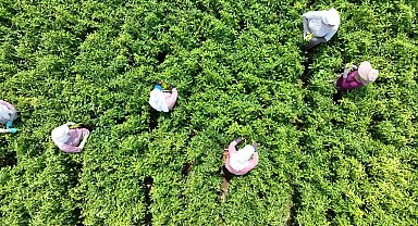 Bursa Büyükşehir Belediyesi'nden 