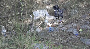 Bursa Büyükşehir Belediyesi’nin “Temizle, Yeşert, Koru