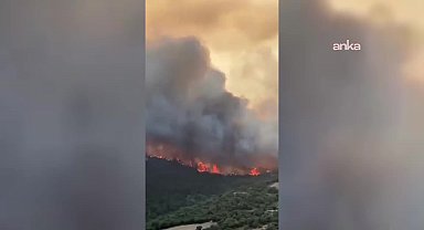 Bursa Valiliği, Yenişehir'deki orman yangını kontrol altına alındığını duyurdu