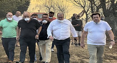 Çanakkale'de orman yangını... Belediye Başkanı Erkek: Kurum ve kuruluşların desteğiyle yangını bir an önce kontrol altına almayı umuyoruz