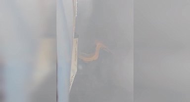 Çanakkale'de orman yangını... Bursa ve Balıkesir Büyükşehir Belediyeleri yangın bölgesine destek ekip gönderdi