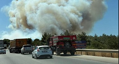 Çanakkale'deki orman yangını... Dumandan etkilenen 47 kişi tedavi altında