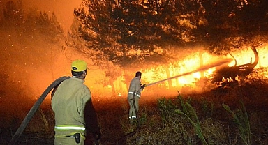 Çanakkale'deki orman yangını... Müdahaleler aralıksız devam ediyor