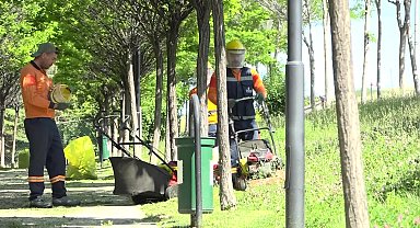 Çankaya Belediyesi'nden parklarda çim biçme ve ot temizleme mesaisi 