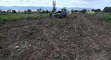CHP Aydıncık İlçe Başkanı Erdoğan, alıcı bulamadığı bir traktör patatesi sokağa döktü... Erdoğan: 