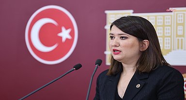 CHP Genel Başkan Yardımcısı Gökçen: 
