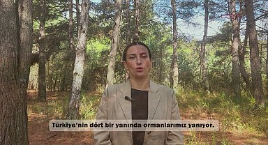 CHP İstanbul Milletvekili Rızvanoğlu: 