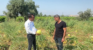 CHP'li Başevirgen çiftçileri ziyaret etti: