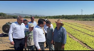 CHP'li Başevirgen, üzüm üreticilerinin sorunlarını dinledi: 