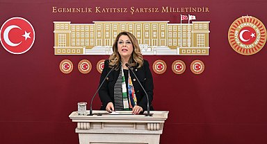 CHP’li Gezmiş, 195 lira olarak açıklanan fındık taban fiyatına tepki gösterdi: Bu fiyat tam bir hayal kırıklığı
