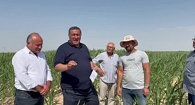CHP'li Gürer: 