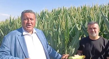CHP'li Gürer: 