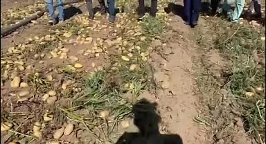 CHP'li Gürer Niğdeli çiftçilerin sorunlarını dinledi: ''Üretici para kazanamıyor, tüketici de pahalıya ürün alıyor''