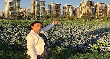 CHP’li Şevkin: “Çiftçimiz, kuruyan ağaçlarını, meyve ve sebzelerini kurtarmak için çare arıyor”