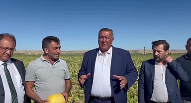 CHP Niğde Milletvekili Gürer: 
