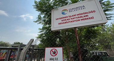 Çukurova Belediyesi’nden hayvan bakımında örnek uygulama