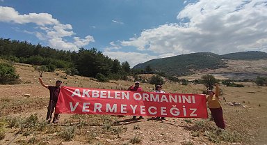 Danıştay'dan Akbelen kararı: ÇED muafiyeti yeniden incelenecek