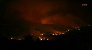 Denizli'de çıkan orman yangınına müdahale sürüyor