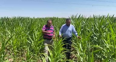 Diyarbakır’da çiftçilerle bir araya gelen CHP’li Tanrıkulu: