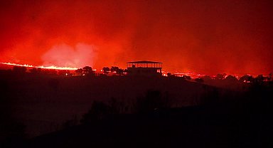 Diyarbakır’da ormanlık alanda çıkan yangın kontrol altına alındı