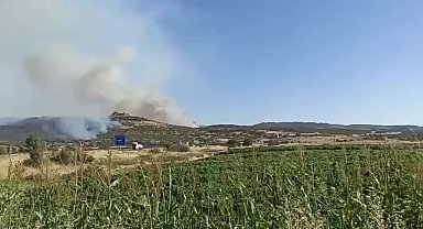 Diyarbakır’ın 3 ayrı noktasında çıkan orman yangınlara ekiplerin müdahalesi sürüyor