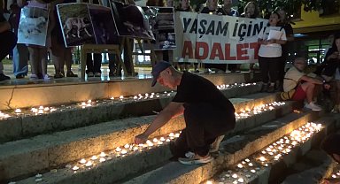 Edirne barınağında bir yılda ölen sokak hayvanları için 800 mum yakıldı