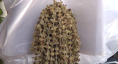 Edirne’de kuru bamyanın satış fiyatı gram altının satış fiyatını geçti