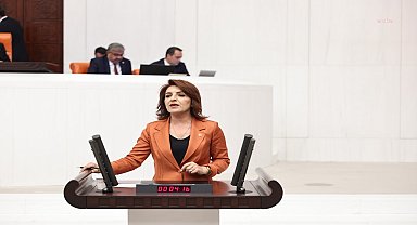 Gülcan Kış: Muhalefetin verdiği bin 300 kanun teklifi gündeme alınmadı