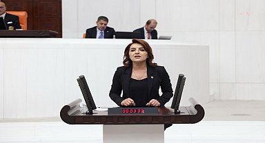 Gülcan Kış'tan Bakan Göktaş'a soru önergesi tepkisi: