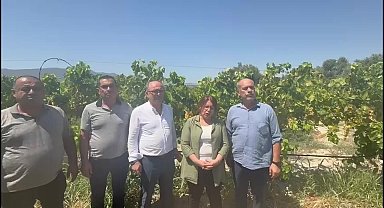 Gülizar Biçer Karaca'dan Tarım Bakanlığına çağrı: 