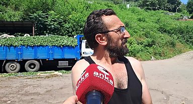 Hopalı çay üreticileri: Özel sektöre neredeyse bedavaya veriyoruz, para kazanamıyoruz
