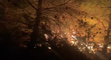 İBB’den Çanakkale’deki yangın söndürme çalışmalarına destek