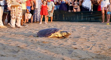 İztuzu’nda 7 caretta ve 20 yavru kaplumbağa denize bırakıldı