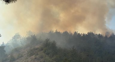 Karabük’te çıkan orman yangınına müdahale sürüyor