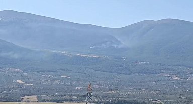Manisa Alaşehir’deki orman yangını kontrol altına alındı 