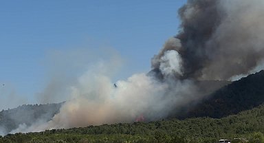 Manisa’nın Soma ilçesinde orman yangını